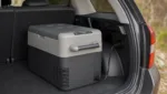 Kühlbox mit 12V-Anschluss: Welche fürs Auto?