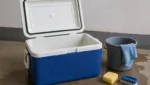 Kühlbox reinigen und pflegen für lange Haltbarkeit