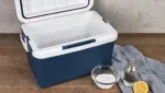 Kuehlbox von Geruechen befreien: Wirksame Methoden fuer eine frische Kuehlbox