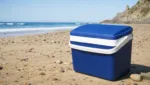 Kühlboxen am Strand: Ideen für den perfekten Tag