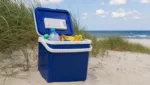 Kühlboxen für Strand, Picknick & Familienausflüge